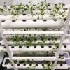 NFT Hydroponics System with 108 Holes Kits; Vertical Hydroponic Growing Systems PVC Tube Plant Vegetable - 108 holes